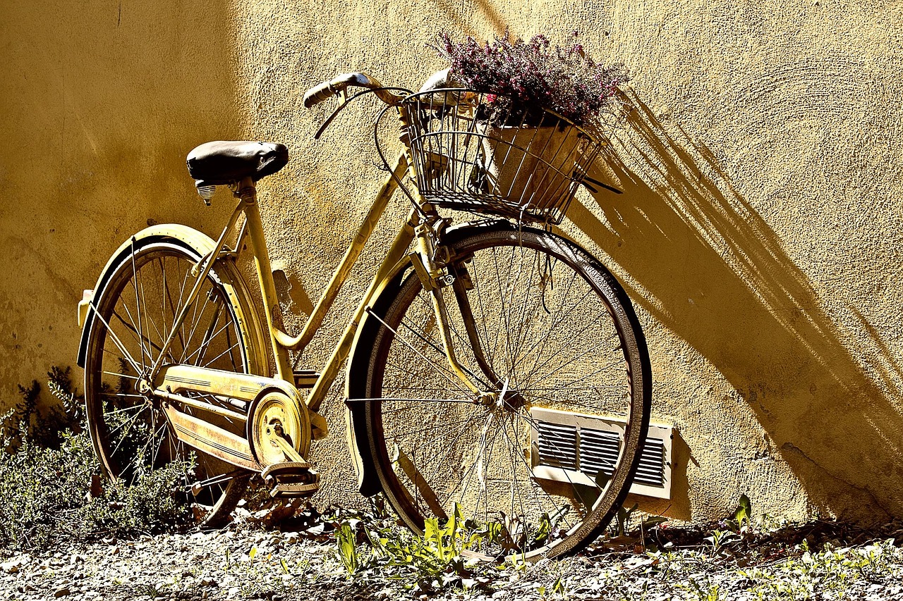 Bicycle standing against a wall.